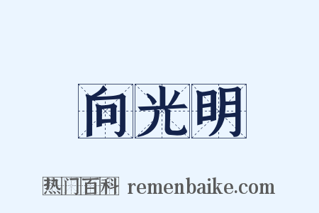 向光明是什么意思的图片